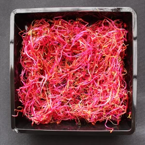 Beetroot Sprouts